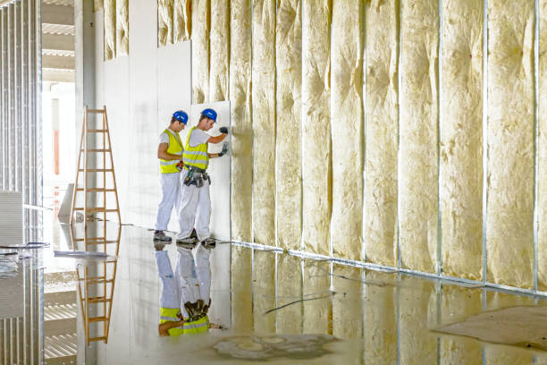 Best Insulation Maintenance and Repair in Brodhead, KY
